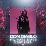 album image Don Diablo & Nate Dogg - I Got Love (RetroVision Flip) (Enrie BeeHive Edit) I Got Love (feat. Nate Dogg) - Single