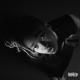 Kosmos. - Little Simz - Venom