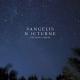 Vangelis - Vangelis: Through the Night Mist
