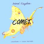 album image Boys Will Be Bugs Animal Kingdom: Comet - Single