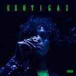 album image Dejalo EXOTIGAZ - EP