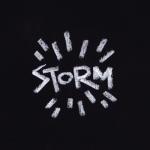 album image Storm Storm - Single