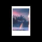 album image Polaroid Rmx Polaroid - Single