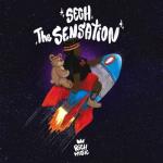 album image Que Mas Pues (Remix) The Sensation