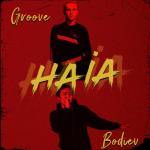 album image Haia Haia - Single