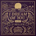 album image Big Love, Small Moments I Dream of You: SLEEP