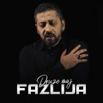 album image Druze moj Druze Moj - Single