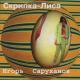 Игорь Саруханов - Скрипка-Лиса