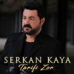 album image Tarifi Zor Tarifi Zor - Single