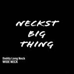 album image Neckst Big Thing Neckst Big Thing (feat. Wide Neck) - Single