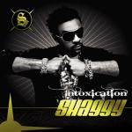 album image What's Love (feat. Akon) Intoxication