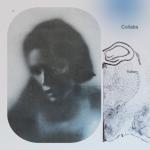 album image Without me(slowed) Collabs - EP