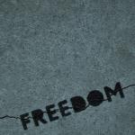 album image Freedom