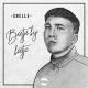 Snelle - Scars
