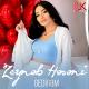 Zeynəb Həsəni - Gedirem