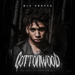 album image Shotta Flow (Remix) (feat. Blueface) Cottonwood