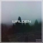 album image La Multi Ani Nevasta Mea Walden - Single