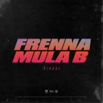 album image Viraal Viraal (feat. Mula B) - Single