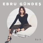 album image Âşık Âşık