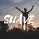 El Alfa, Plan B, Bryant Myers, Noriel, Jon Z, Miky Woodz - Suave (Remix)