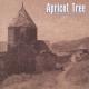Apricot Tree - Duduk Solo