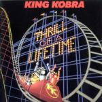 album image Feel The Heat Thrill of a Lifetime