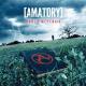 [AMATORY] - Эффект Бабочки