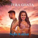 album image Tera Ghata