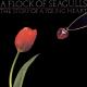 A Flock Of Seagulls - Living In Heaven