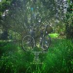 album image Happy Together (feat. Ray Toro) Happy Together (feat. Ray Toro) - Single