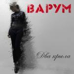album image Два крыла Два крыла - Single