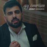album image Darixmisam Ay Omrum Ay Ömrüm - Single