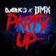 DMX - Party Up (Up in Here)