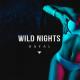 DJ KALI feat. Rafal - Wild Night