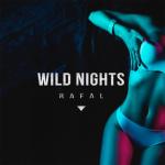 album image Wild Night Wild Nights - Single