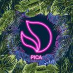 album image Pica Pica - Single