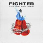 album image Fighter Fighter - Single