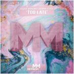 album image Too Late Too Late - Single