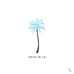 album image Cold in LA Cold in LA - Single