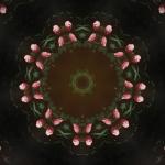 album image M3 & U M3 & U - Single
