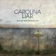 Carolina Liar - Show Me What I'm Looking For