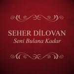 album image Taş duvarlar Seni Bulana Kadar