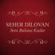 Seher Dilovan - Taş duvarlar