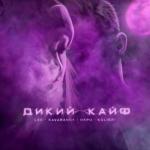album image 🥀 Дикий кайф🐊 BASS remix Дикий кайф - Single