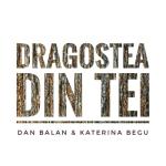 album image Numa Numa Dragostea Din Tei - Single
