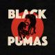 Black Pumas - Touch The Sky