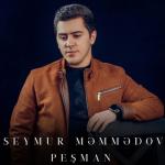 album image Sevgi gozel hisdi Pesman - EP