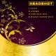 Dj Davlat  Music - Lion-DJ Mehmet Tekin Remix
