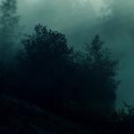 album image ЗЛО Truck Bit - Single