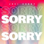 album image Sorry Sorry - Single